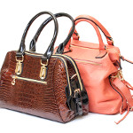 Mahwah Handbag Dry Cleaning Service