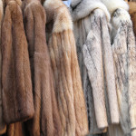 Fur Cleaning in Mahwah